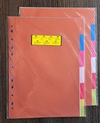 PRZEKŁADKI DO SEGREGATORA Kolorowe A4