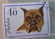 Znaczek pocztowy bokser 