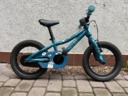 Rower Scott Contessa 14