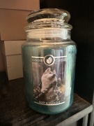 Cozy & fabulous Goose creek