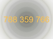 Złoty numer telefonu - 788 - 359 - 766