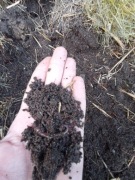 ALPA-HUMUS Naturalny wermikompost najwyższej jakości 10L