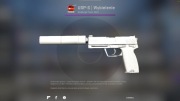 USP-S Wybielenie (lekkie zużycie)