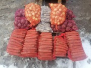 Marchew burak po 12 kilo