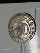 Półgrosz 1507 Kraków Zygmunt I Stary 