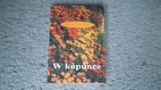 Tomik wierszy "W kopunce" M. Kwidziński