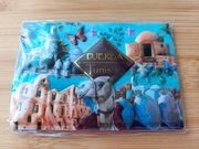 Magnes na lodówkę - Tunezja , Djerba