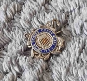 Przypinka - Military - Coast Guard Auxiliary - Sterling