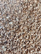 Pszenica ziarno worki 25kg dla ryb, kur, gryzoni