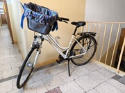 Rower trekkingowy damski Romet Gazela 2 | 28” | Biały + koszyk GRATIS