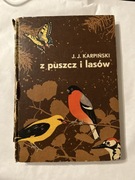 Z puszcz i lasów 