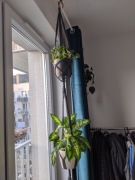 Kwietnika makrama grafitowy szary