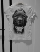 *PITBULL* rewelacyjna koszulka 34 XS