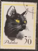 Kolekcja 13 znaczków Polska PRL koty 1964
