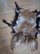 ŁADNA NOWA SKÓRA Z OWCY KAMERUŃSKIEJ NIEUŻYWANA