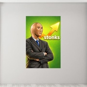 obraz 100x70 stonks mem 