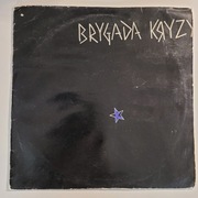 Brygada Kryzys - Brygada Kryzys 1982 VG+ Winyl