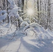 Obraz zima słońce akryl płótno pejzaż 