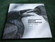 Album Wildlife Photgrapher Of The Year 31 fotografia przyrodnicza
