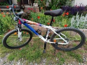 Rower Kross Hexagon S3