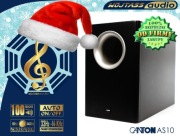 Subwoofer AKTYWNY Canton AS10 *Auto ON/OFF* Crossover * 100W 