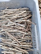 Sztobry wernisaż 0,15zl