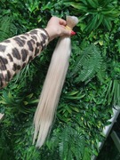 Wlosy kitek rosyjski 