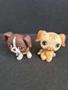 Littlest Pet Shop Hasbro - dwa kolekcjonerskie pieski