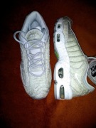 Nike Airmax tailwind IV SP