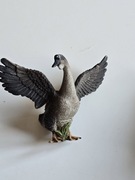 szara gęś collecta - model wycofany ze sprzedaży 2012