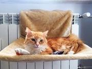 Legowisko dla kota na grzejnik - firmy Trixie