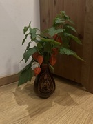 Stary wazon ceramiczny z różami, wysokość 19 cm