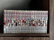 ONE PIECE Tom 1-24