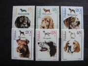 FI.3049-3054** Psy myśliwskie