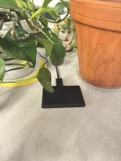 Konsola PlayStation tv vita