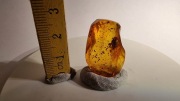 24. bursztyn bałtycki INKLUZJA naturalny duży cały pająk jantar inkluzjami