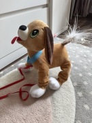 Piesek Boogie Psi Rozrabiaka