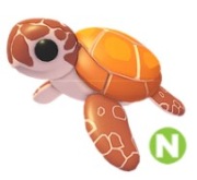 Sea Turtle N Adopt Me Roblox