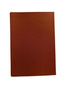 Józef Ignacy Kraszewski - Bajbuza