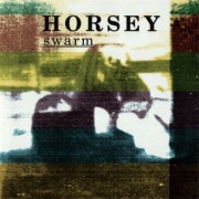 Horsey CD Swarm       noise post punk z USA     ideał