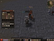 sura wp  76 lvl + buff 75 mt 2009 metin2009 mt2009