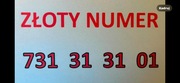 PLATYNOWY ZŁOTY NUMER TELEFONU