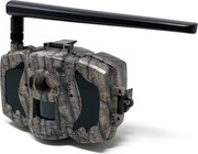 Kamera fotopułapka GSM MG984G-36M