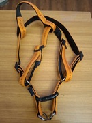 Obroża - szelki dla sporego psa.