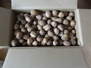 ORZECHY WLOSKIE Ekologiczne