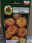 Nieśmiertelnik/kocanka