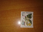 Znaczek pocztowy Bieluń indiański rośliny lecznicze 1980 Polska
