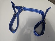 Poskrom na nogi / Pas 