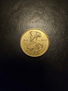 Moneta 2 złote Zygmunt II August