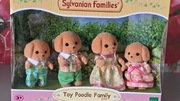 Zestaw Sylvanian Families
